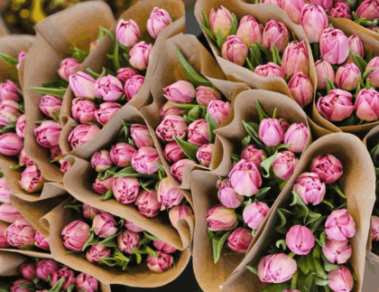 Schnitttulpen in einer Papiertüten