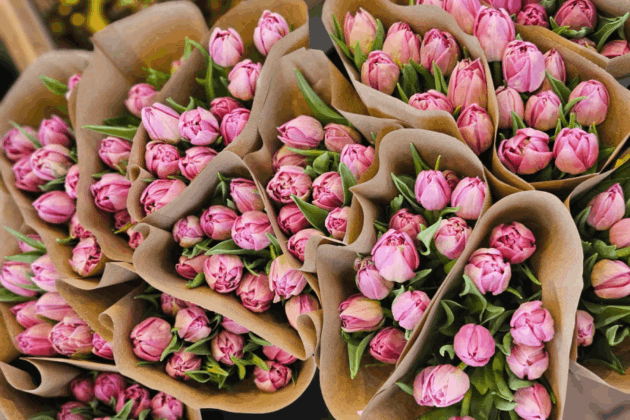 Schnitttulpen in einer Papiertüten